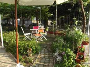 Отель Plamena Guest Rooms  Кърджали